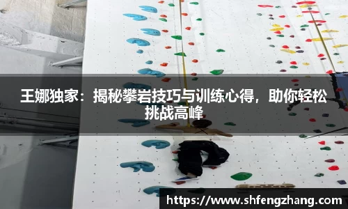 王娜独家：揭秘攀岩技巧与训练心得，助你轻松挑战高峰