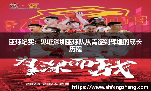 篮球纪实：见证深圳篮球队从青涩到辉煌的成长历程