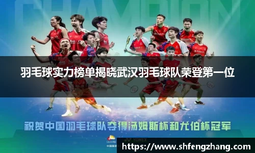 羽毛球实力榜单揭晓武汉羽毛球队荣登第一位